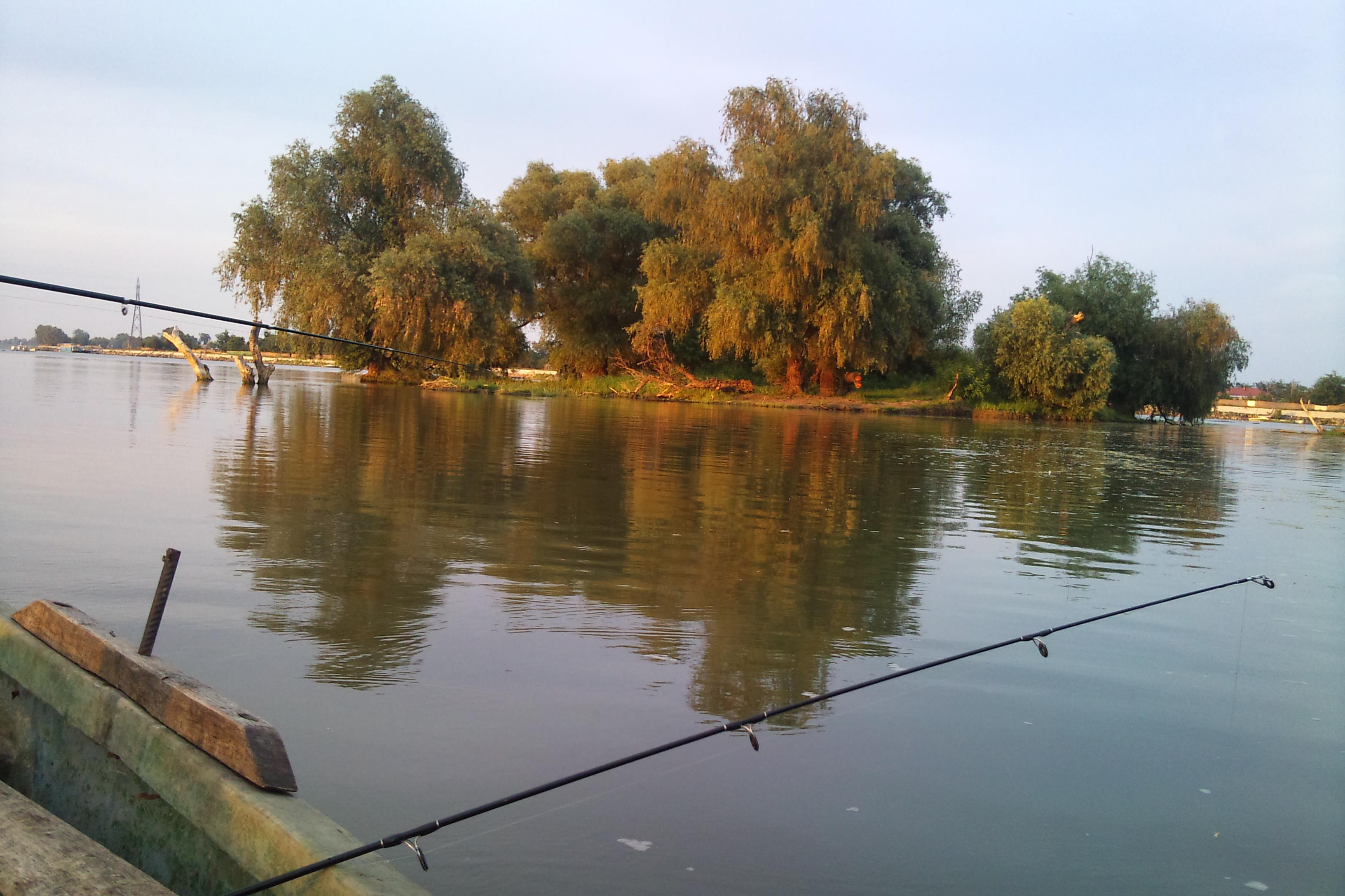 DELTA 2011  MILA 23 - DSC00204.JPG